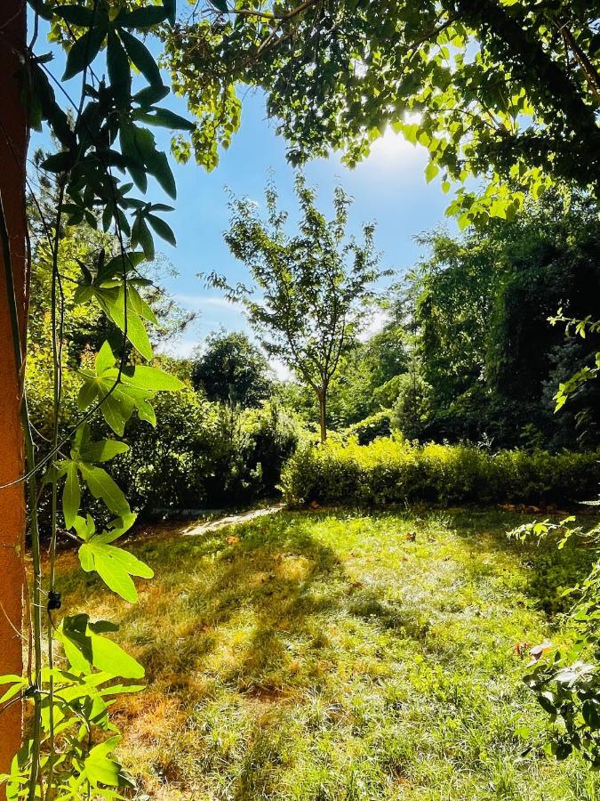 70M2 Romantic Living In The Old Town With Garden Bratislava Luaran gambar